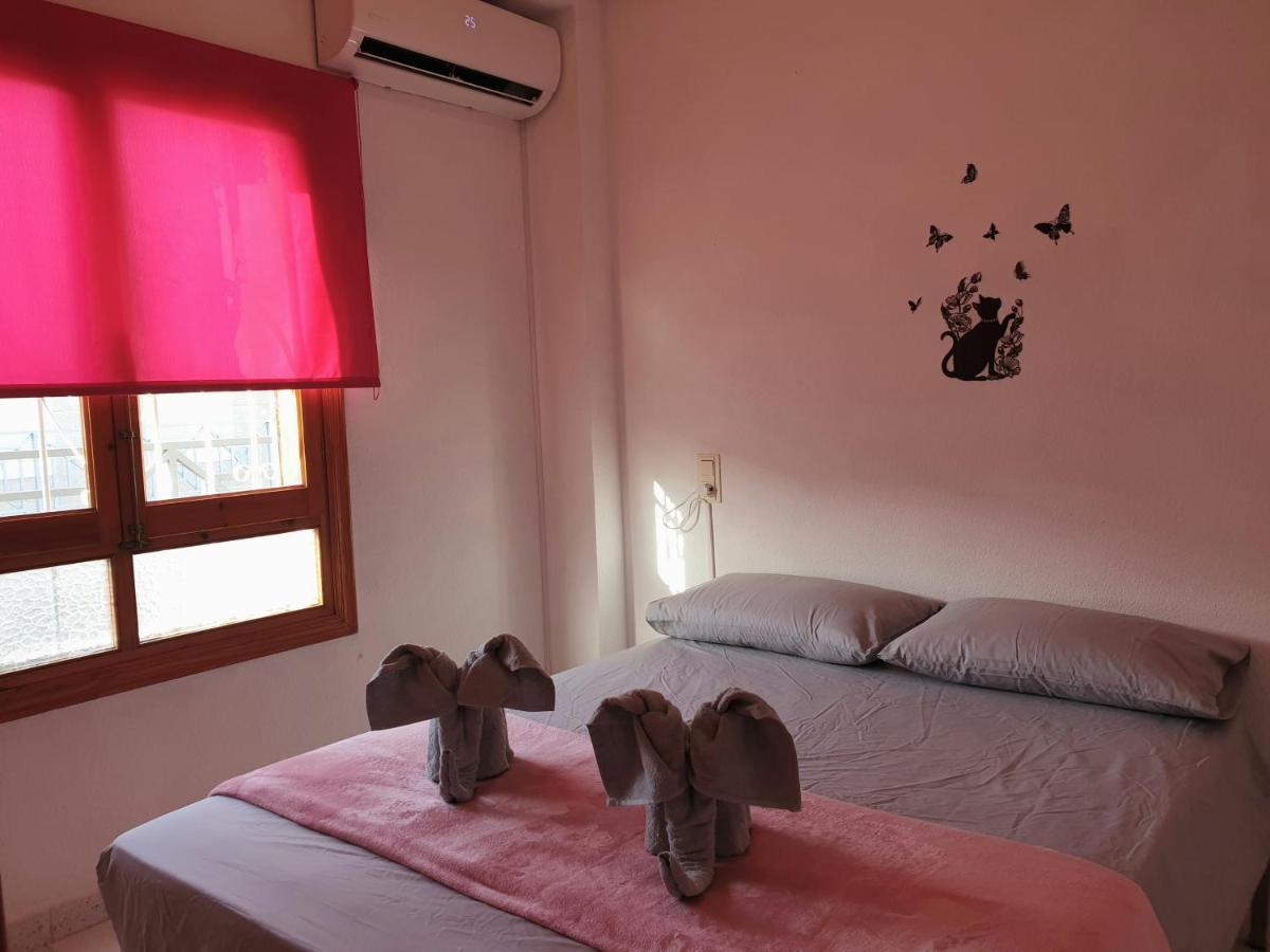 Penthouse Residencial Virginia Lägenhet Torrevieja Exteriör bild