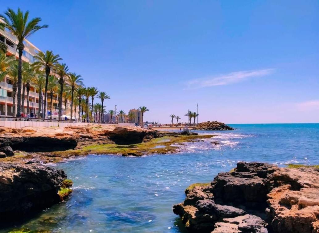Penthouse Residencial Virginia Lägenhet Torrevieja Exteriör bild